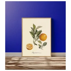 Online Affiche Bigarrade Couronnée Déco Murale, Papier Peint