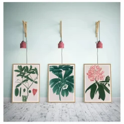 Sale Affiche Rhododendrum Maximum Déco Murale, Papier Peint