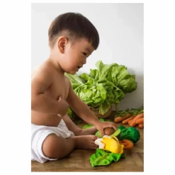 Discount Anneau de dentition Arnold l'avocat Hochets Et Anneaux De Dentition|Puériculture