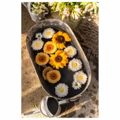 Clearance Anneau de dentition Sun le tournesol Hochets Et Anneaux De Dentition|Puériculture