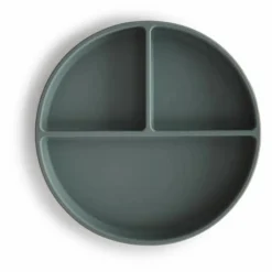 Hot Assiette en silicone | Premiers Repas|Puériculture