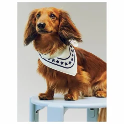 New Bandana pour chien | Accessoires Animaux