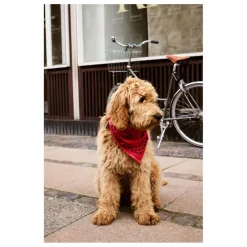 Discount Bandana pour chien | Accessoires Animaux