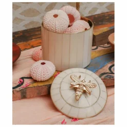 Discount Boîte Queen Bee Circus | Petits Rangements