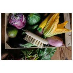 Clearance Brosse à légumes en hêtre Nettoyage Et Entretien