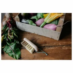 Clearance Brosse à légumes en hêtre Nettoyage Et Entretien