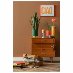Hot Cache-pot Double Funky | Vases, Objets Déco