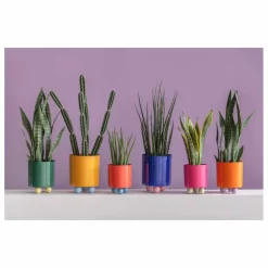 Hot Cache-pot Double Funky | Vases, Objets Déco