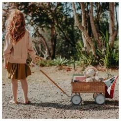 New Chariot en rotin Enfant Rangements|Patères, Paniers Enfant