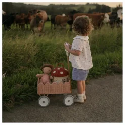 New Chariot en rotin Petal | Enfant Rangements|Patères, Paniers Enfant