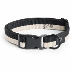 Collier | Accessoires Animaux