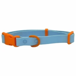 Discount Collier pour chien | Accessoires Animaux