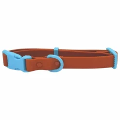 Discount Collier pour chien | Accessoires Animaux