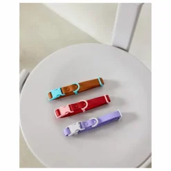 Discount Collier pour chien | Accessoires Animaux