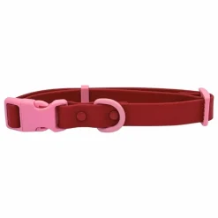 New Collier pour chien | Accessoires Animaux