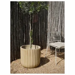 Online Coussin de chaise Franca | Coussins