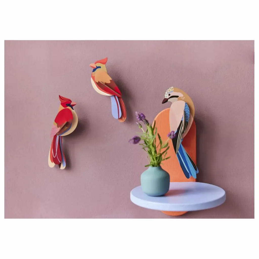 Discount Décorations murales Cardinals - Set de 2 | Enfant Décoration Murale|Déco Murale Enfant