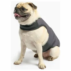 Outlet Doudoune réversible | Accessoires Animaux