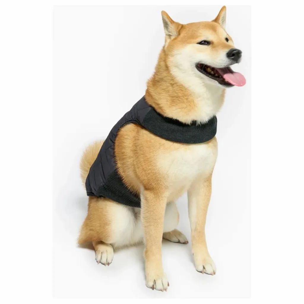 Outlet Doudoune réversible | Accessoires Animaux