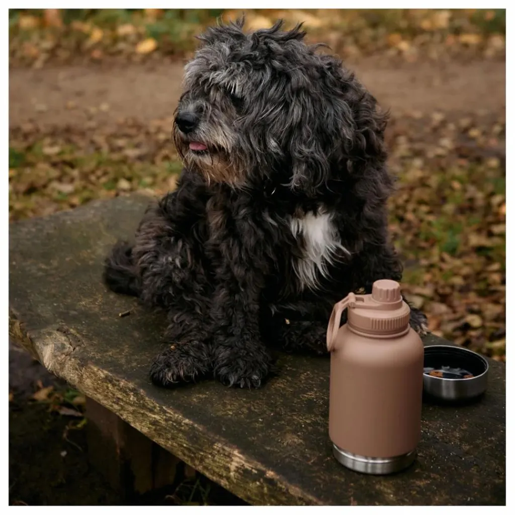 Hot Gourde pour chien Haps Go - 900 ml | Accessoires Animaux