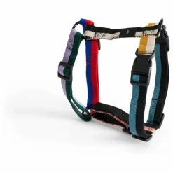 Outlet Harnais Accessoires Animaux