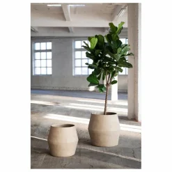 Online Jardinière Construct en papier maché | Vases, Objets Déco