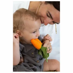 Jouet de dentition Cathy la carotte Hochets Et Anneaux De Dentition|Puériculture