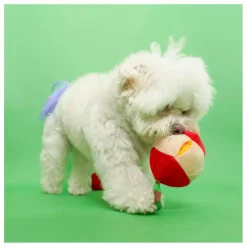 Online Jouet de fouille Apple | Accessoires Animaux