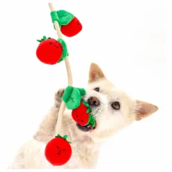 Best Jouet de fouille Cherry Tomato | Accessoires Animaux