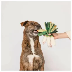 Clearance Jouet de fouille Green Onion | Accessoires Animaux