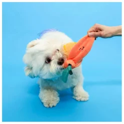 New Jouet de fouille | Accessoires Animaux