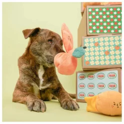 New Jouet de fouille | Accessoires Animaux