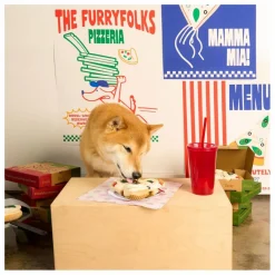 New Jouet de fouille Pizza Accessoires Animaux