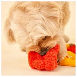 Online Jouet de fouille Surfer Hooman | Accessoires Animaux