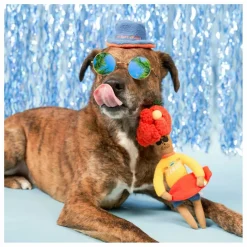 Online Jouet de fouille Surfer Hooman | Accessoires Animaux