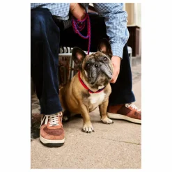 Best Laisse réglable | Accessoires Animaux