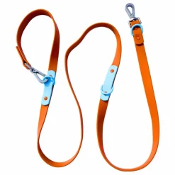 Discount Laisse réglable pour chien | Accessoires Animaux