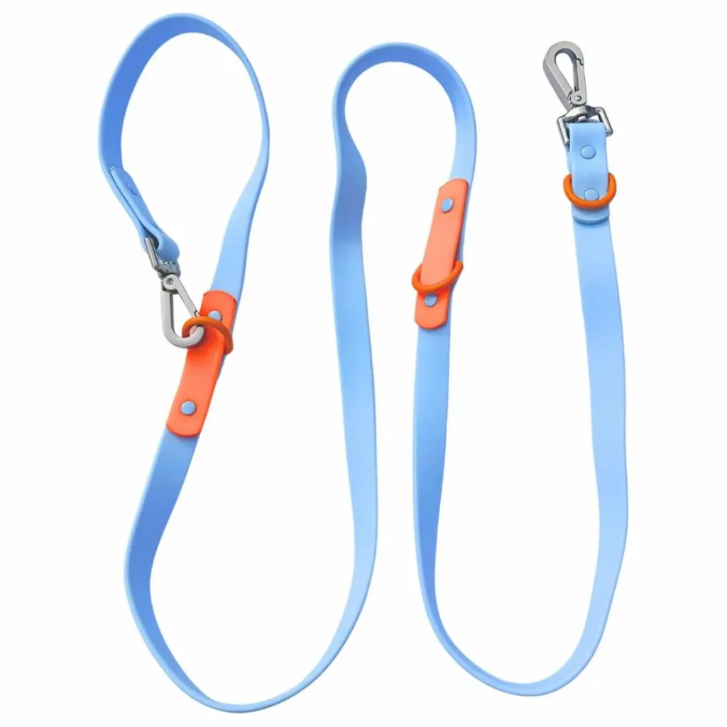 Hot Laisse réglable pour chien | Accessoires Animaux