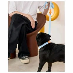 Hot Laisse réglable pour chien | Accessoires Animaux