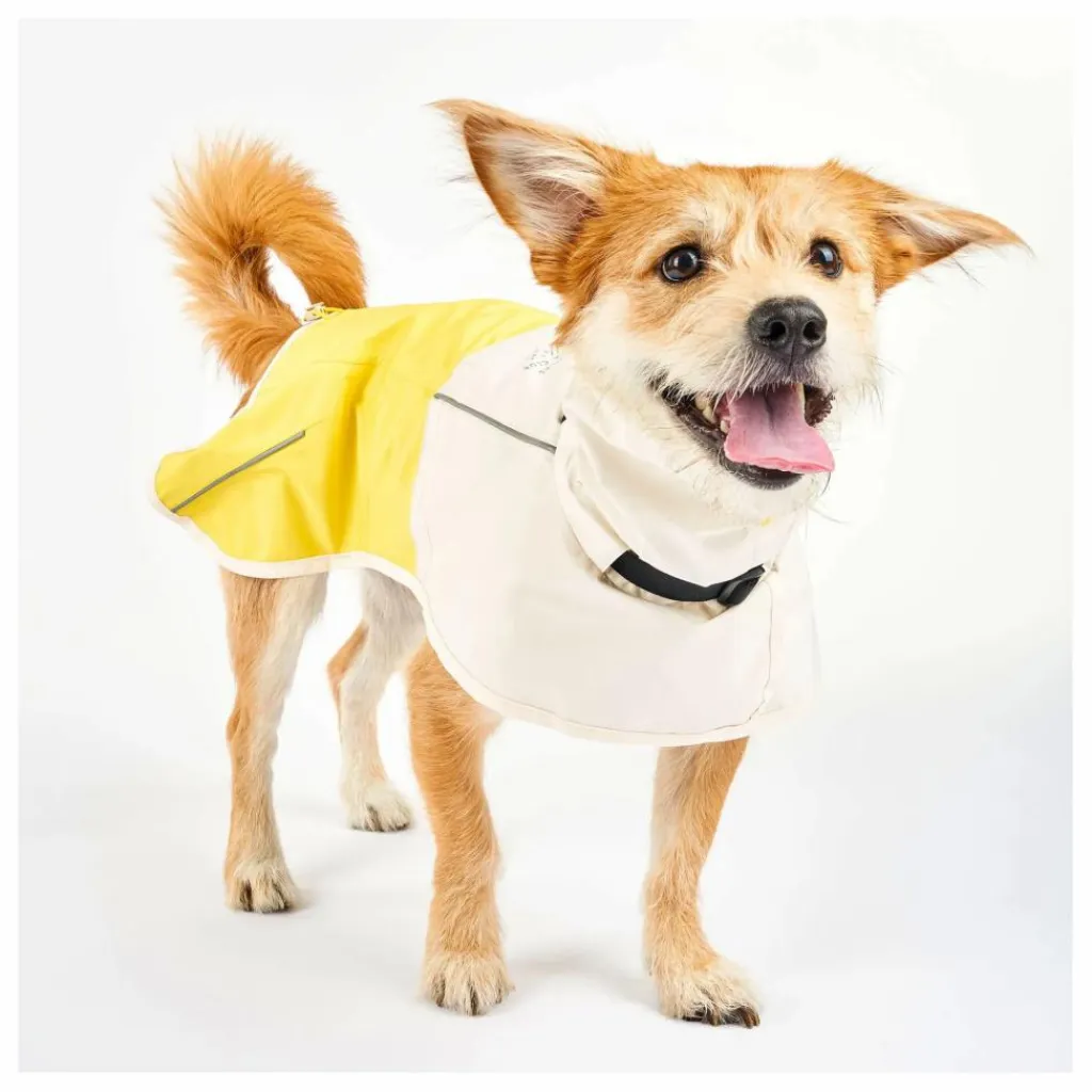 Manteau de pluie Venture | Accessoires Animaux