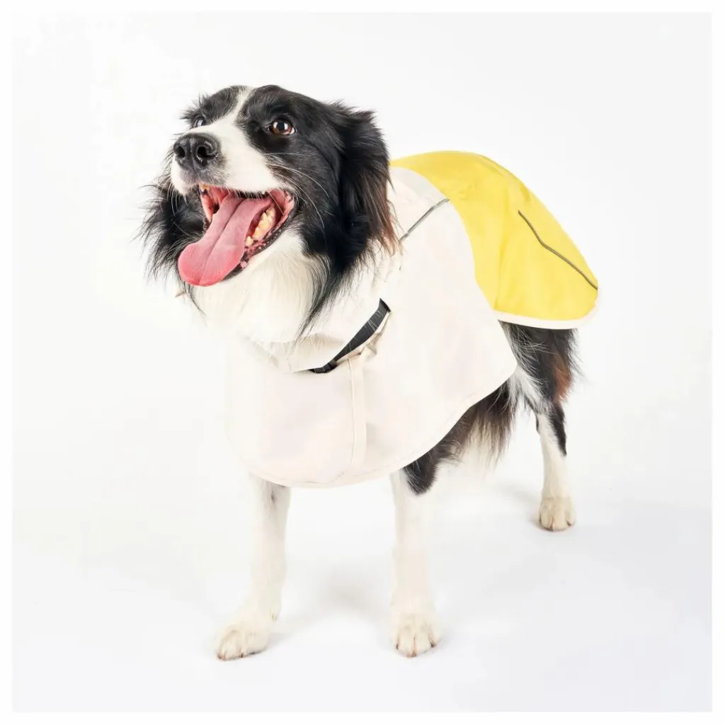 Manteau de pluie Venture | Accessoires Animaux
