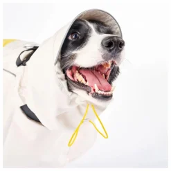 Manteau de pluie Venture | Accessoires Animaux