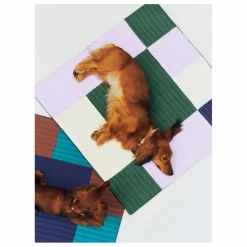 Sale Matelas de voyage pour chien | Accessoires Animaux