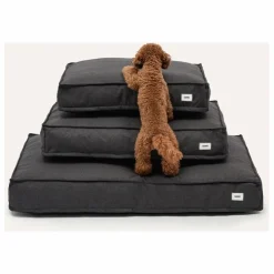 Hot Matelas pour Chien Cuadra | Accessoires Animaux