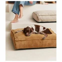 New Matelas pour Chien en velours côtelé Cuadra | Accessoires Animaux