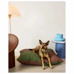 Best Matelas pour chien Quartier | Accessoires Animaux