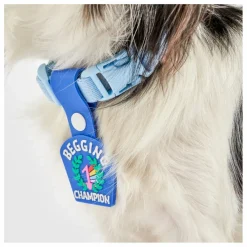 Sale Médaille Begging Champion | Accessoires Animaux
