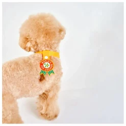 Best Médaille World's Okayest Dog | Accessoires Animaux