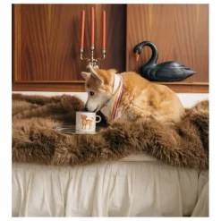 Mug Labradoodle Art De La Table