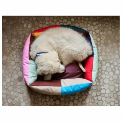 Outlet Panier pour chien Accessoires Animaux